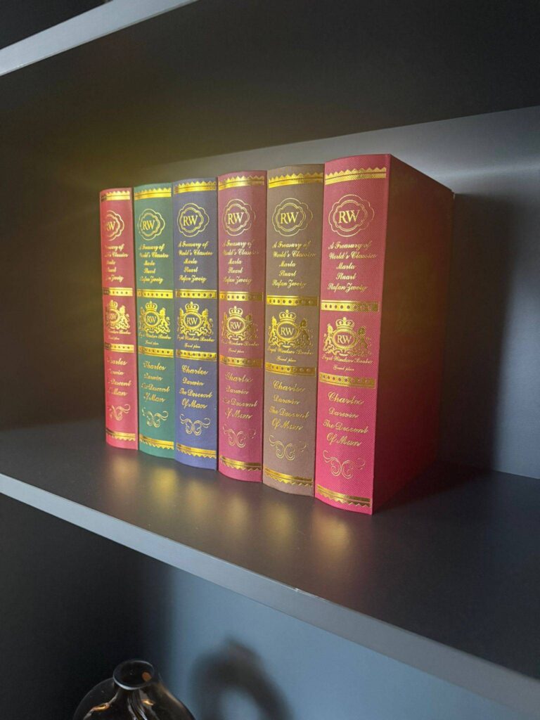 Livres dans la bibliothèque de l'hôtel